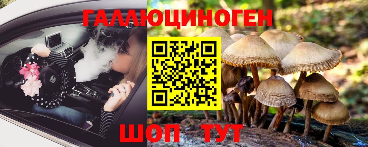 Артём  как найти   Вход с VPN  Псилоцибиновые грибы прущие грибы 